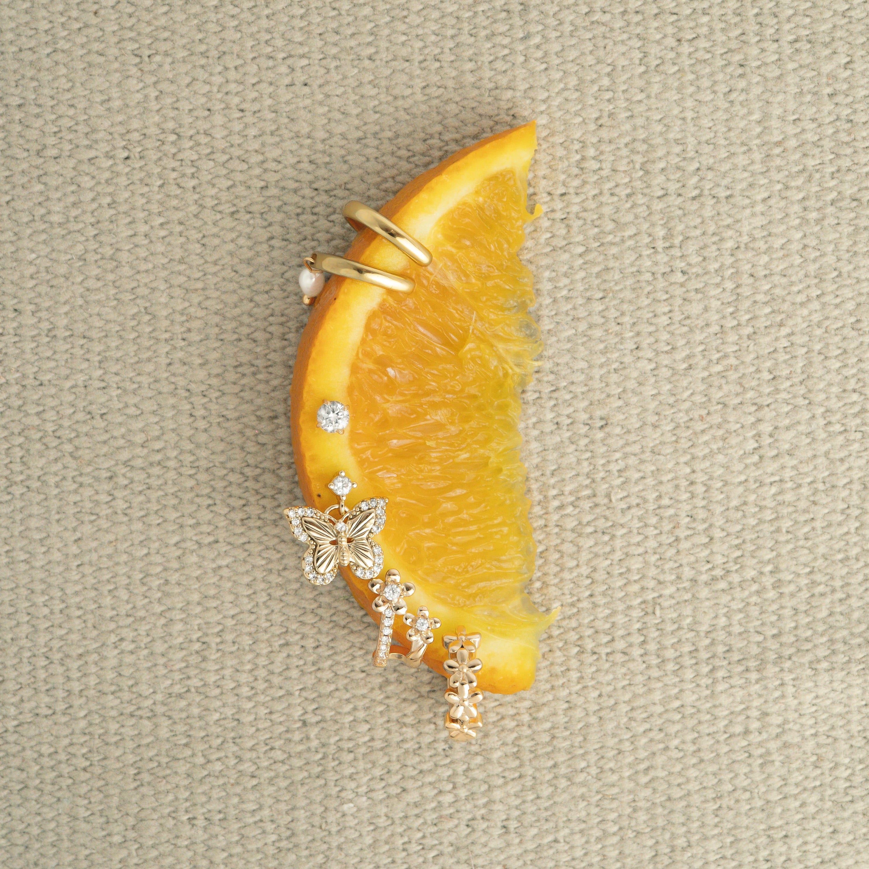 Boucle Papillon Butterfly