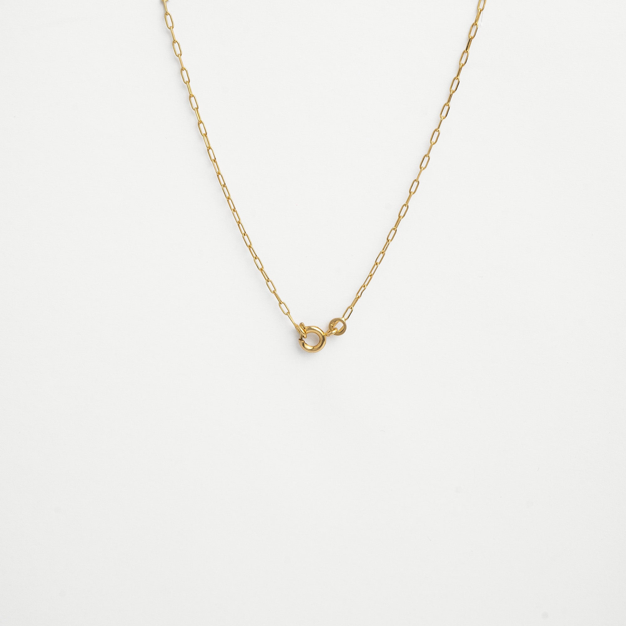 Collier Hippocampe