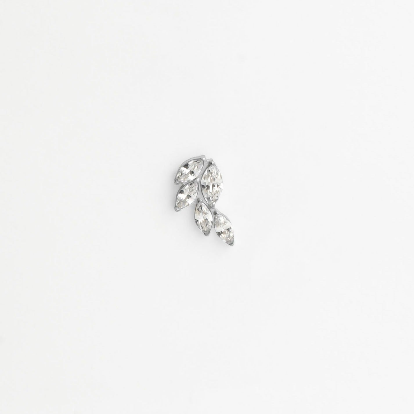 Piercing titane argenté