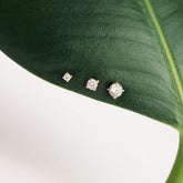 Trois puces à zircon blanc de tailles graduées devant une feuille verte