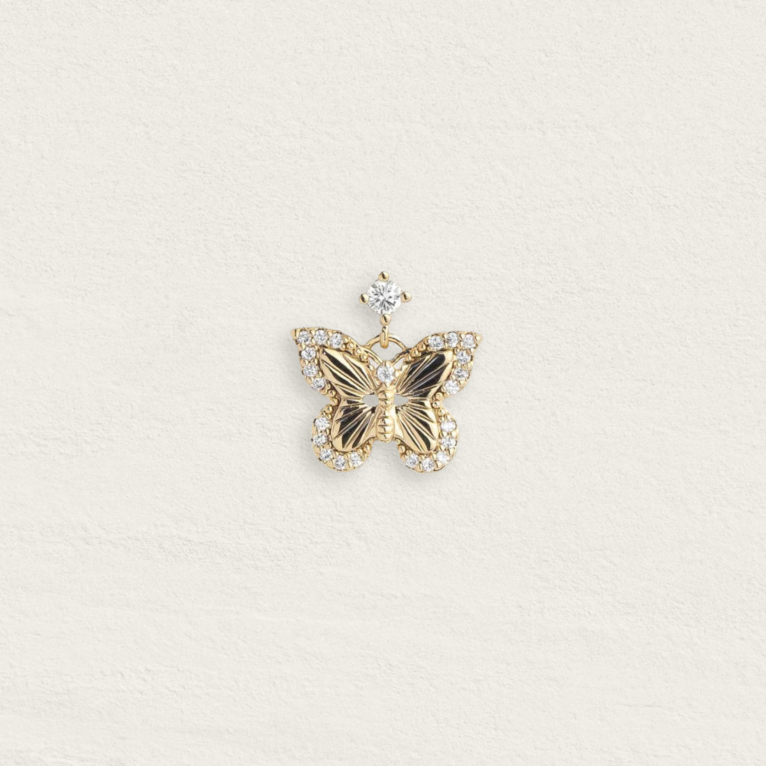 Boucle Papillon Butterfly