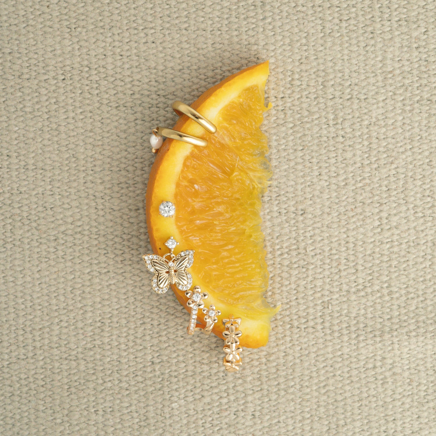 Boucle Papillon Butterfly