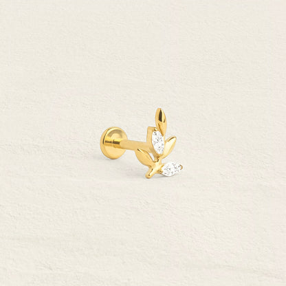 Piercing titane César