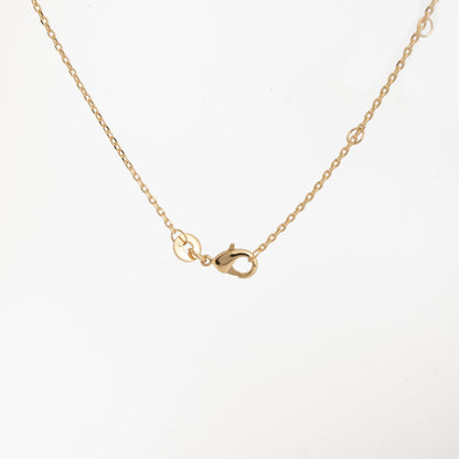 Collier Stelly